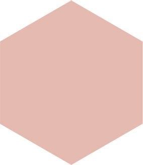 EGE SERAMİK 10X11,6 MACARON PEMBE - 100X116MCN83