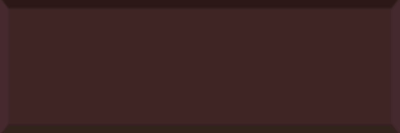 EGE SERAMİK 10X30 DIAMANTE DAMSON - 100X300DTM14